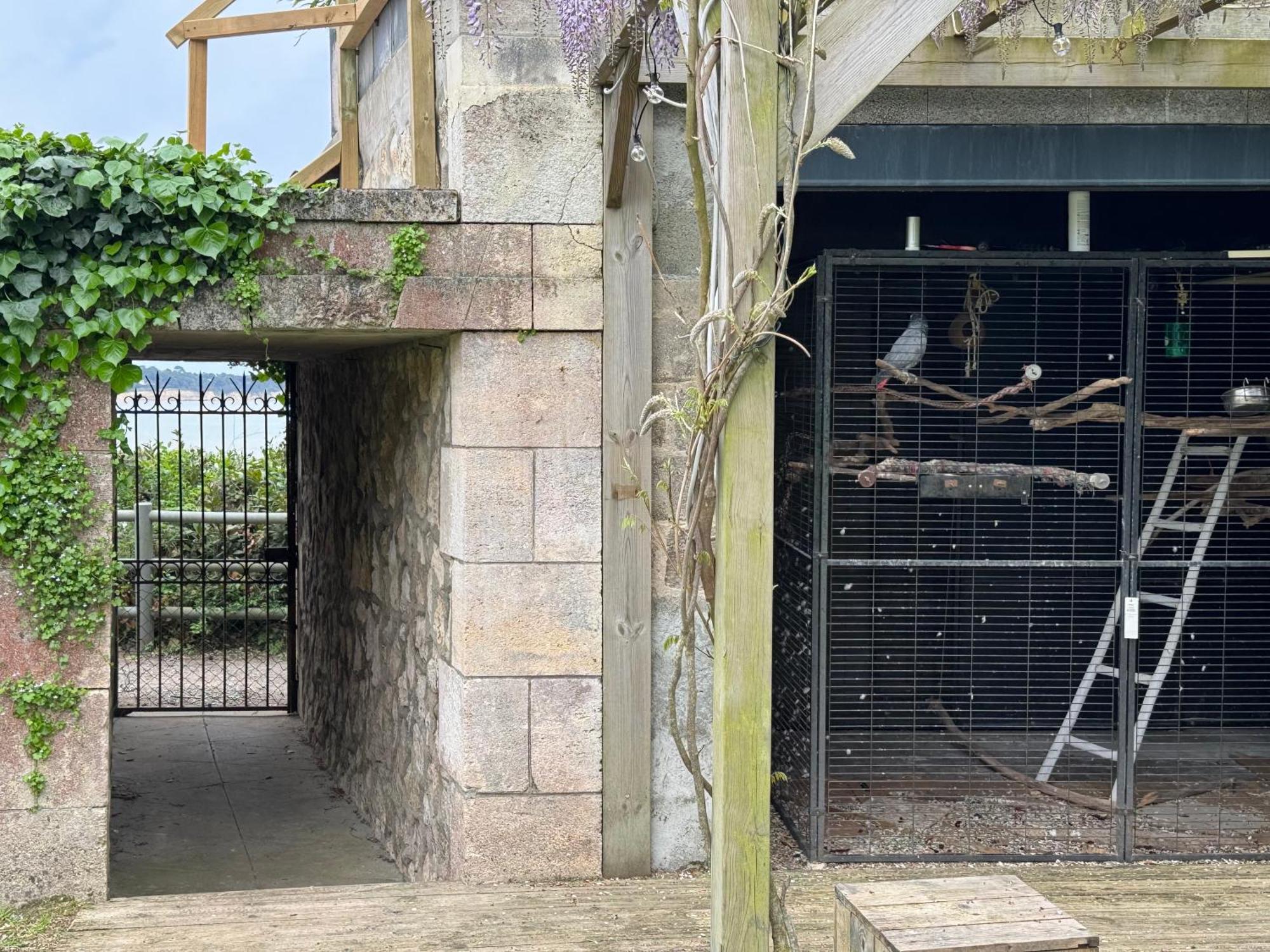 Villa Tousvents 圣乔治德蒂 外观 照片
